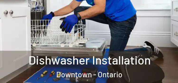 Dishwasher Installation Downtown - Ontario