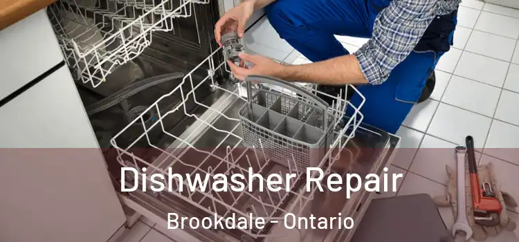 Dishwasher Repair Brookdale - Ontario