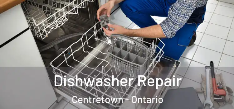 Dishwasher Repair Centretown - Ontario