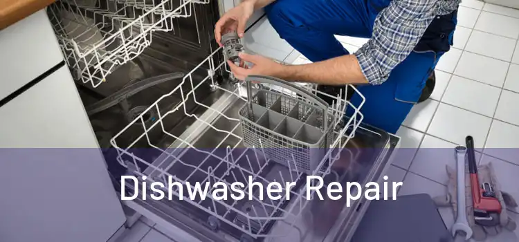 Dishwasher Repair