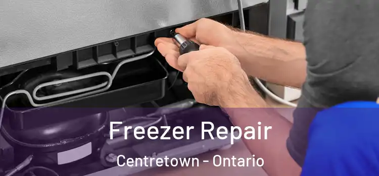 Freezer Repair Centretown - Ontario