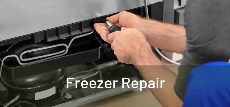 Freezer Repair