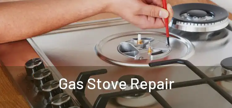 Gas Stove Repair