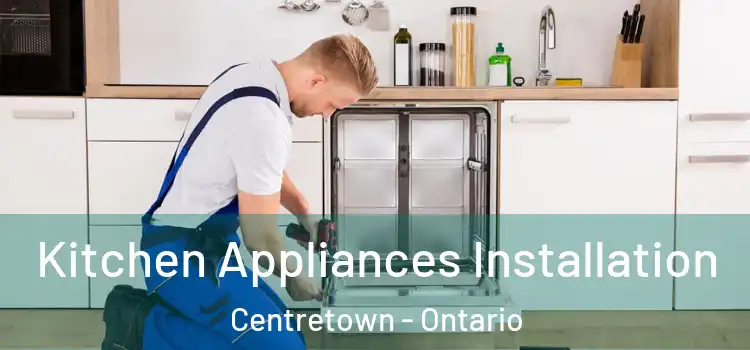 Kitchen Appliances Installation Centretown - Ontario