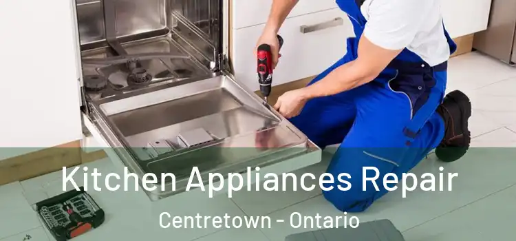 Kitchen Appliances Repair Centretown - Ontario