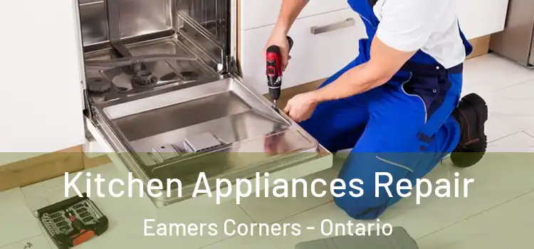 Kitchen Appliances Repair Eamers Corners - Ontario