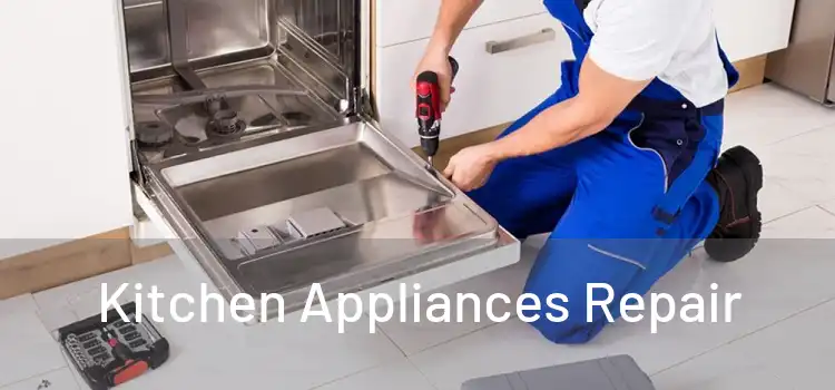 Kitchen Appliances Repair