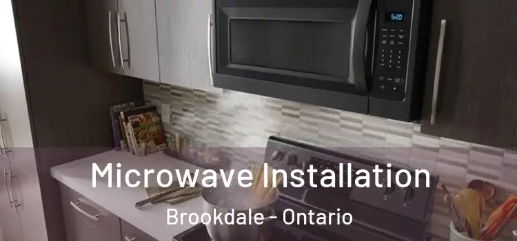 Microwave Installation Brookdale - Ontario
