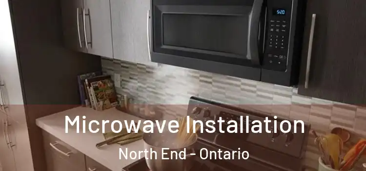 Microwave Installation North End - Ontario
