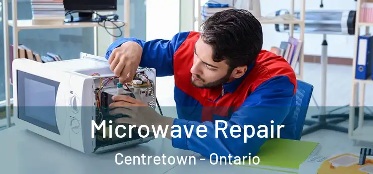 Microwave Repair Centretown - Ontario