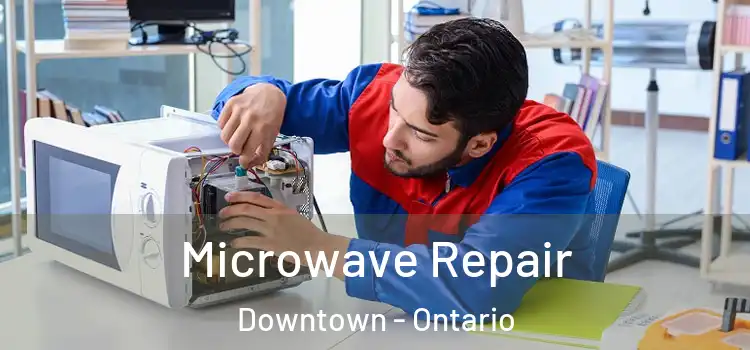 Microwave Repair Downtown - Ontario