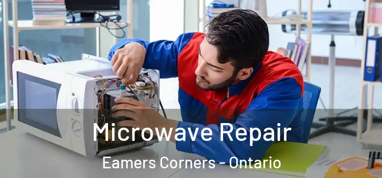 Microwave Repair Eamers Corners - Ontario