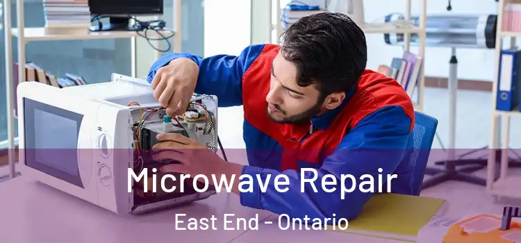 Microwave Repair East End - Ontario