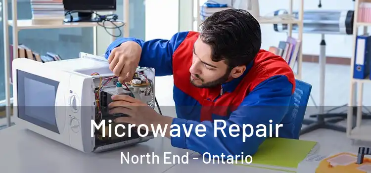 Microwave Repair North End - Ontario