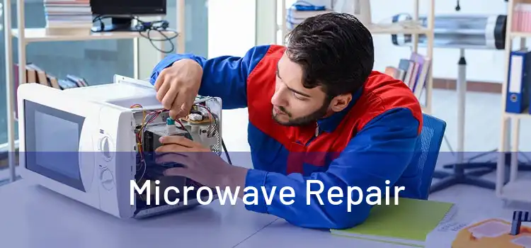 Microwave Repair