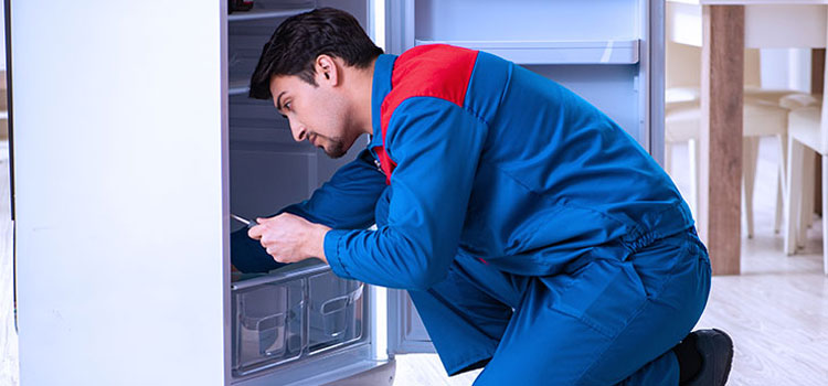 Tappan Freezer Repair Services in Cornwall